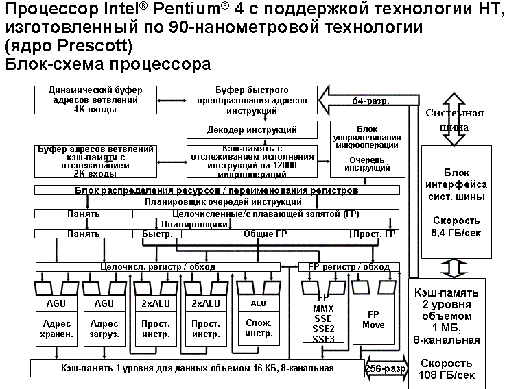 Функциональные процессоры. Структурная схема процессора Intel. Упрощенная структурная схема процессора. Структурная схема процессора AMD. Структурная схема устройства ядра процессора.